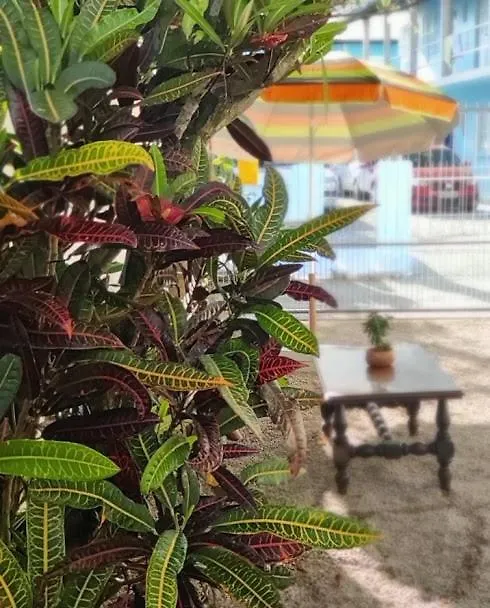 Terraco Da Barra Hotel Florianopolis Guest house